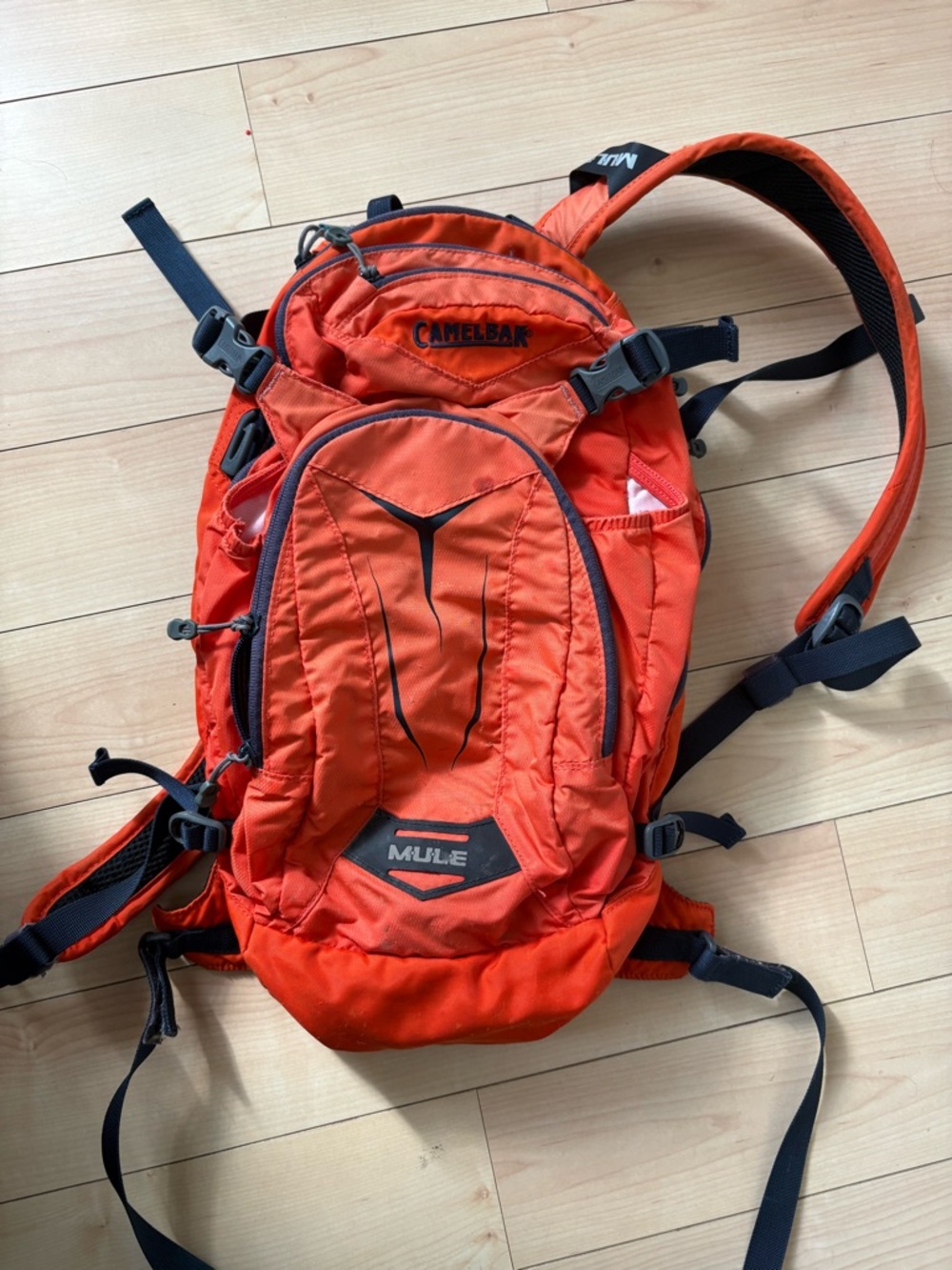 CamelBak Mule Backpack in Orange